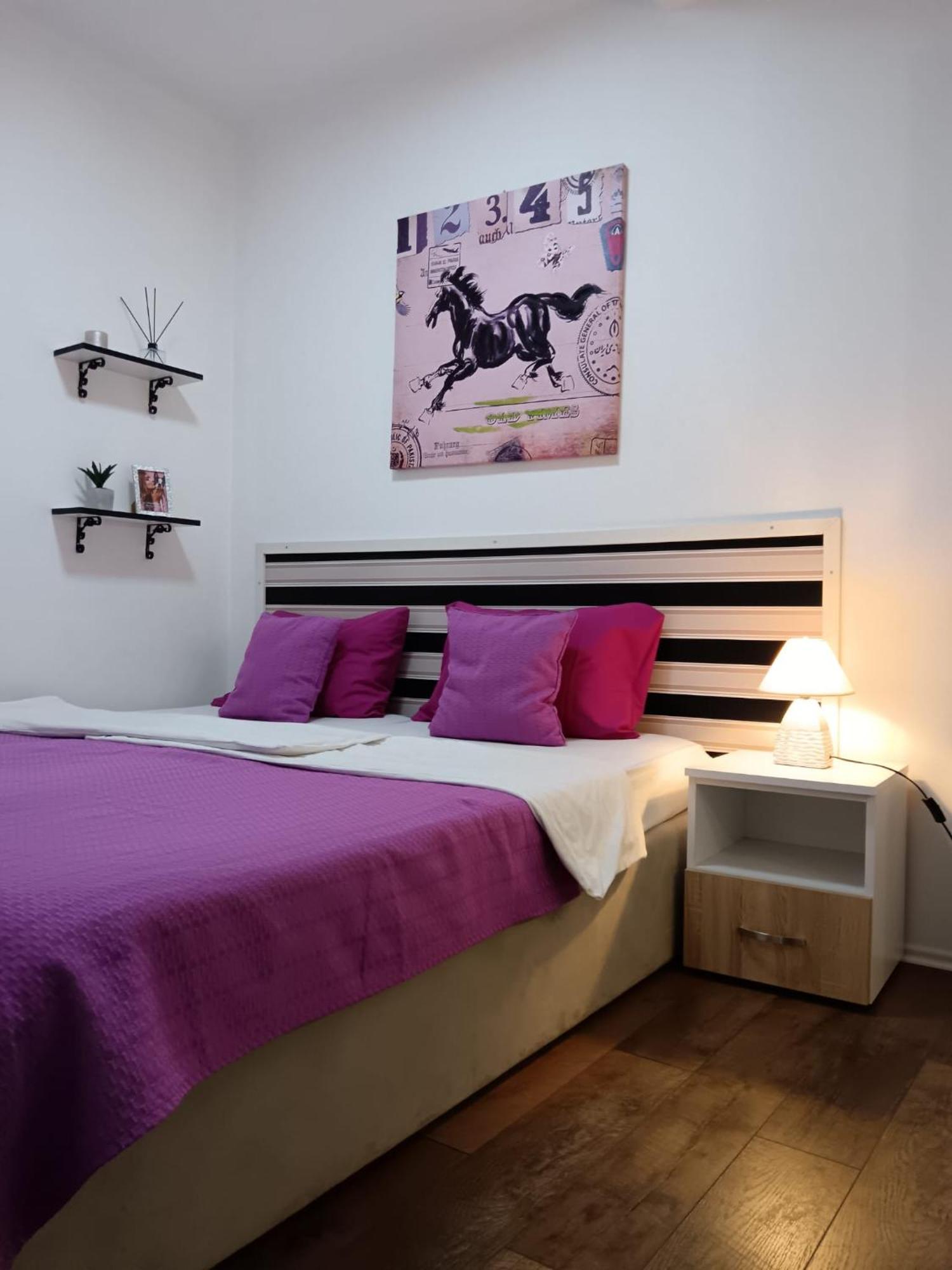 Easy Check In Apartments 021 Vladika Novi Sad Eksteriør bilde
